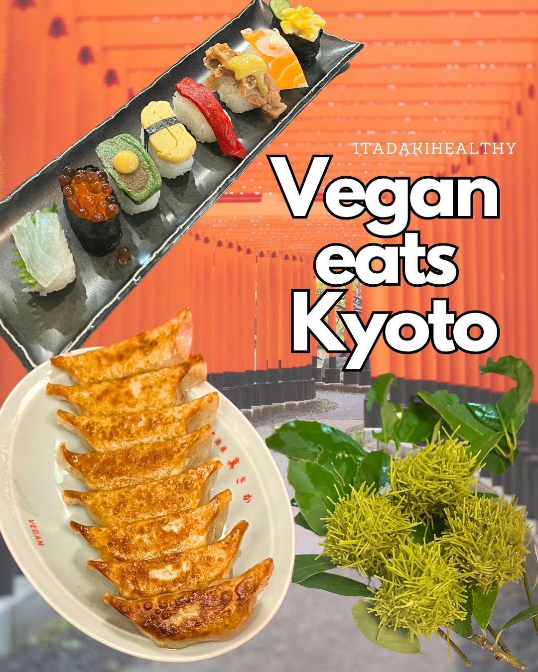 Leonore | vegan nutritionist | vegan in Japan, ZIRAEL Vegan Restaurant