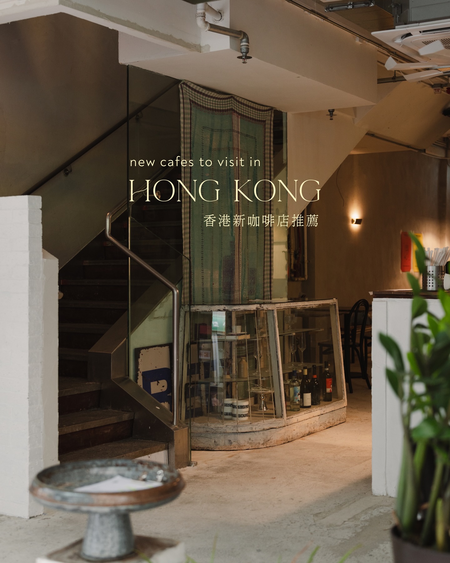 Winkie 🇭🇰🇲🇴, Kizuna Roaster & Co.