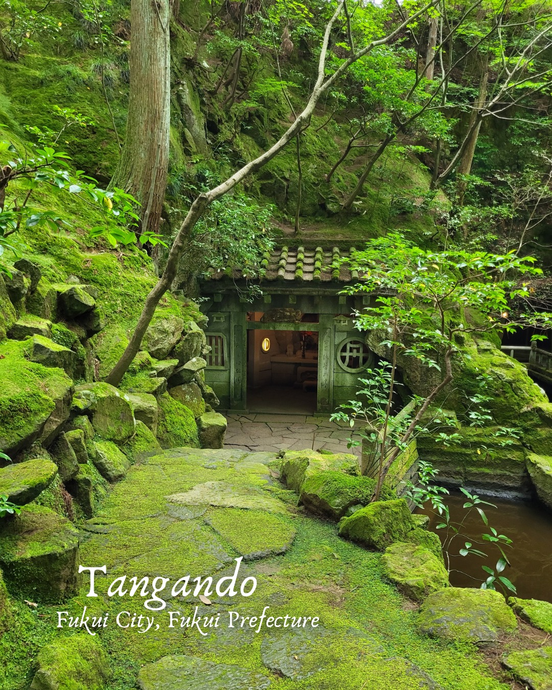 Experience_fukui, Asuwayama