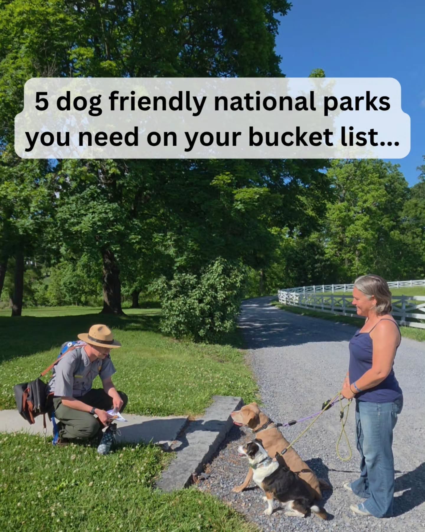 Erin | Willow & Milo | Dog Friendly Travel, Grand Canyon National Park