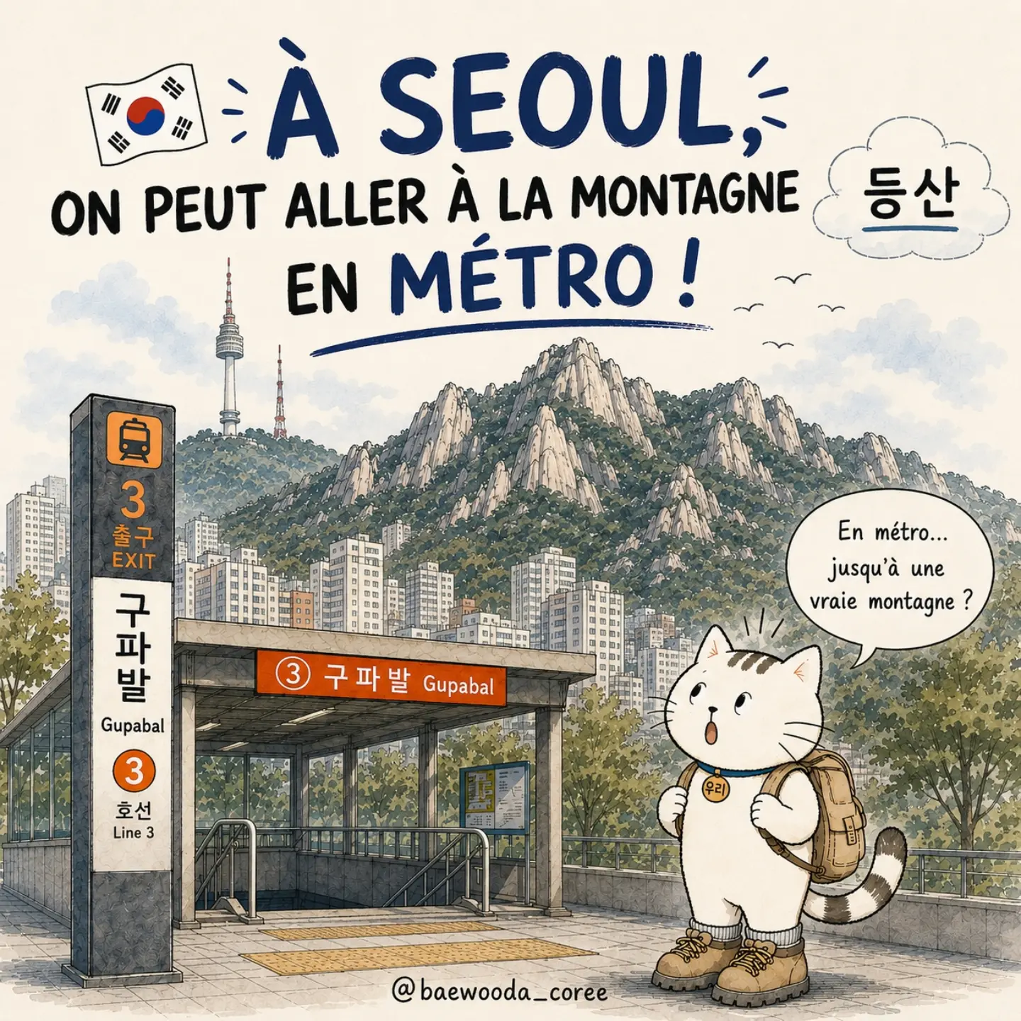 🇰🇷 Baewooda Corée, Achasan