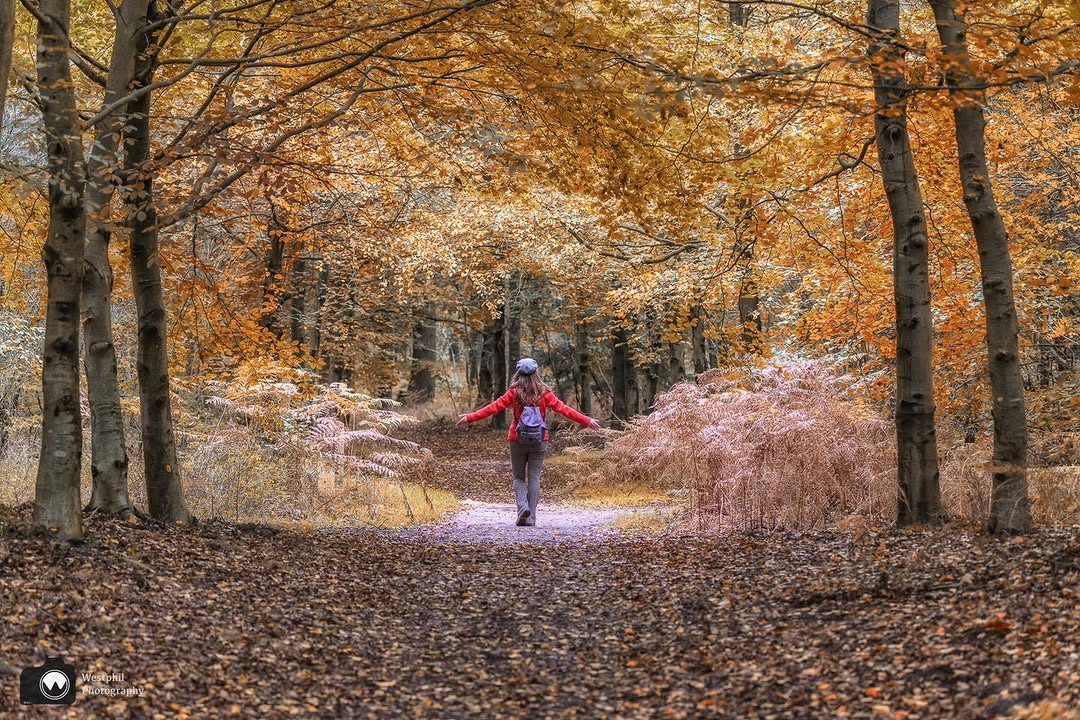 Wandelnetwerk Noord-Holland, Wandelbos Groenendaal