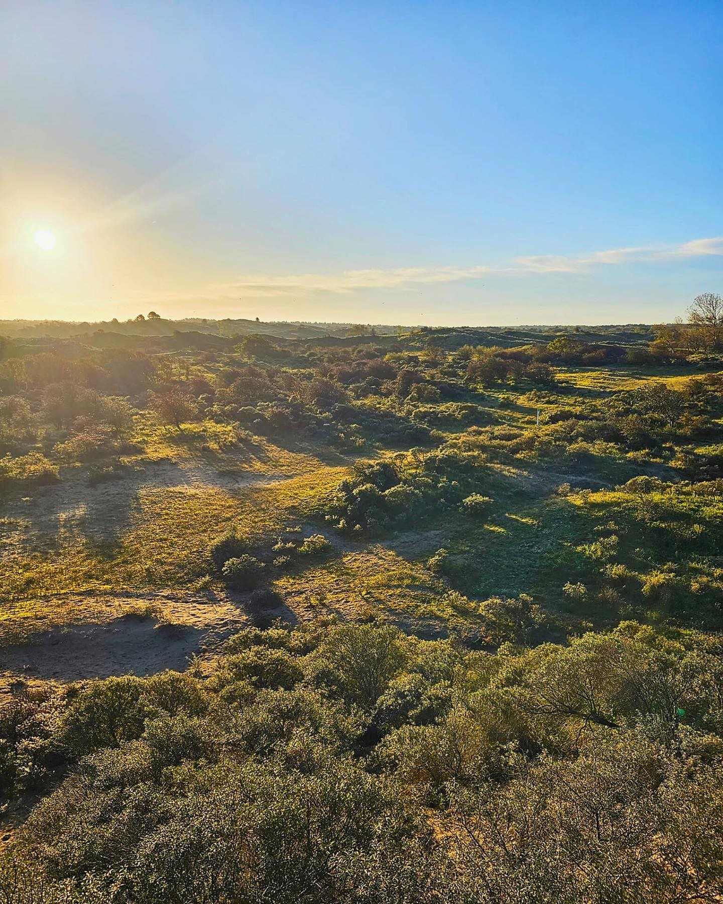 Hét platform voor en door wandelaars, Amsterdamse Waterleidingduinen