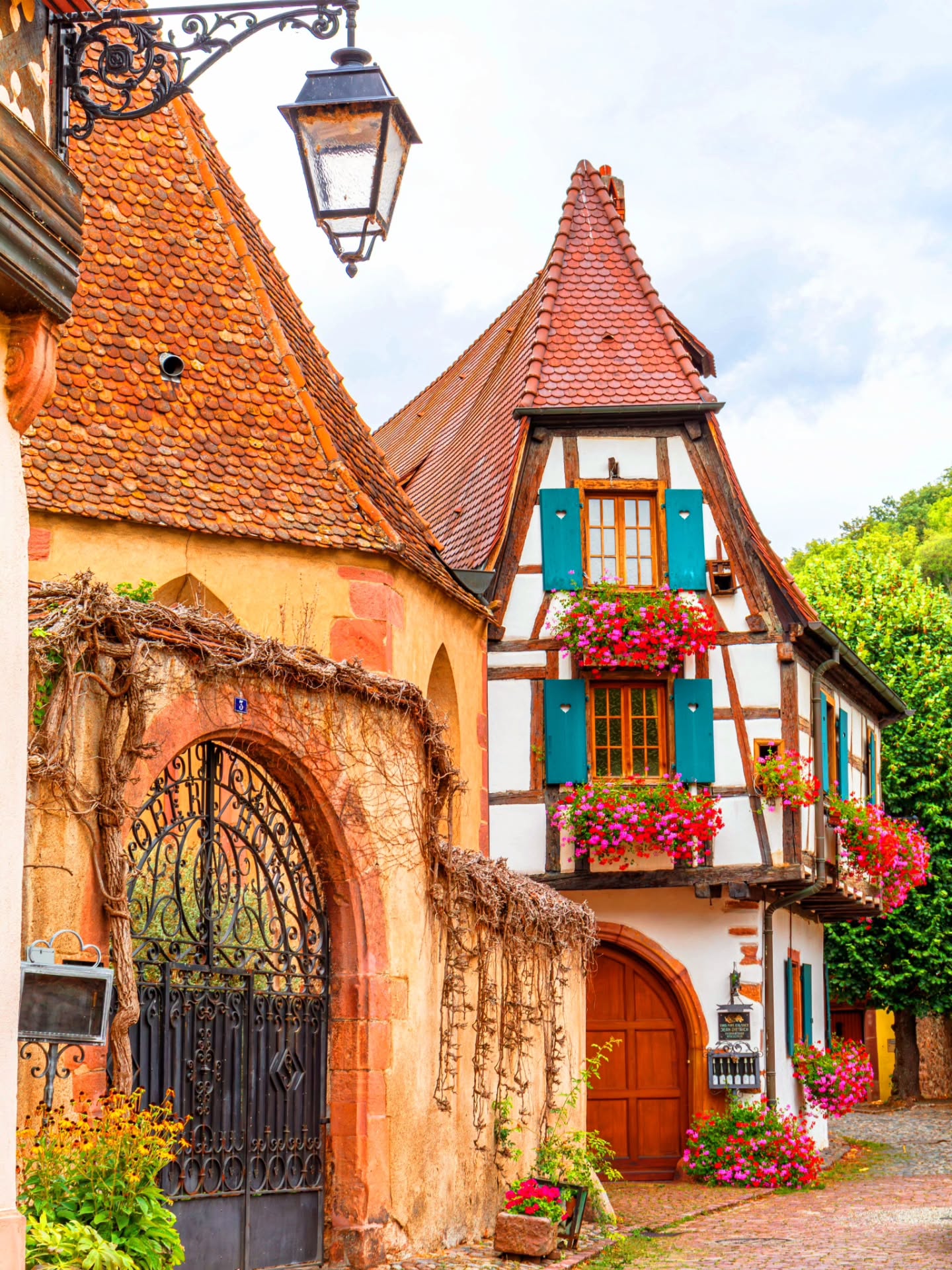 Stories Of Places, Kaysersberg-Vignoble