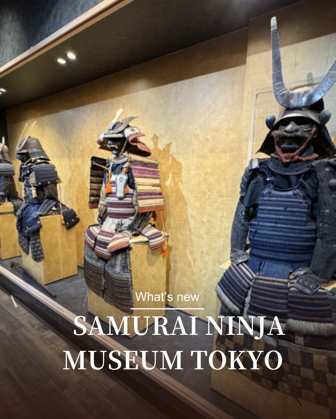 All About Japan, Sensō-ji