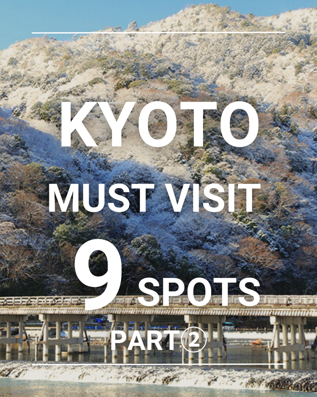 This is Japan 🇯🇵, Arashiyama Bamboo Forest