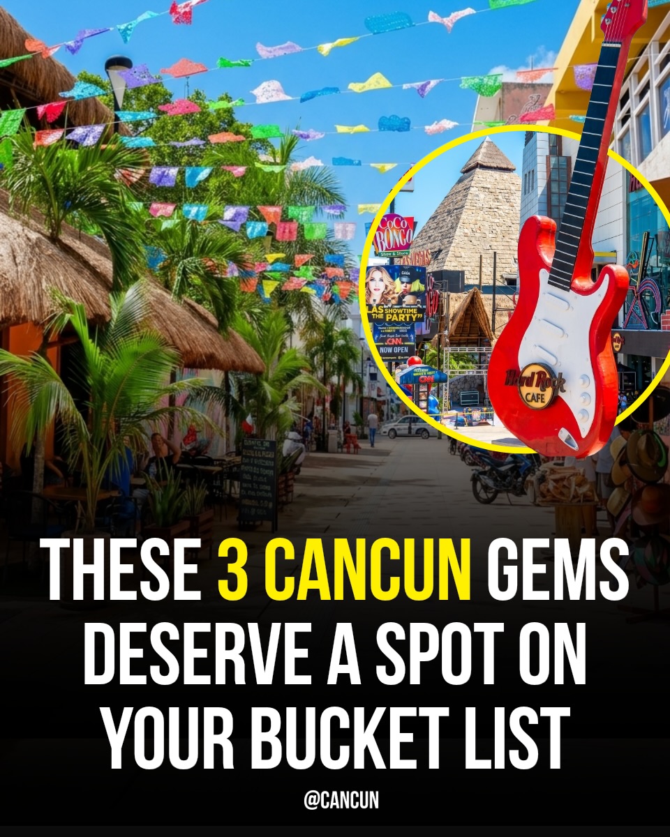 Cancun Mexico 🇲🇽 Travel | Hotels | Food | Tips, Mercado 28