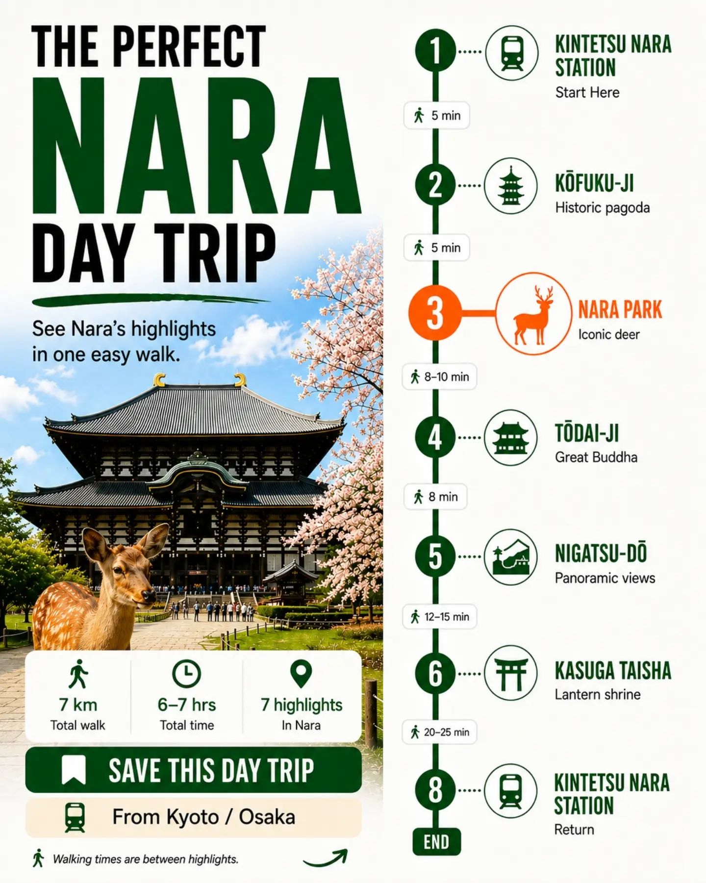 1 Hour Travel Guides, Nara Park