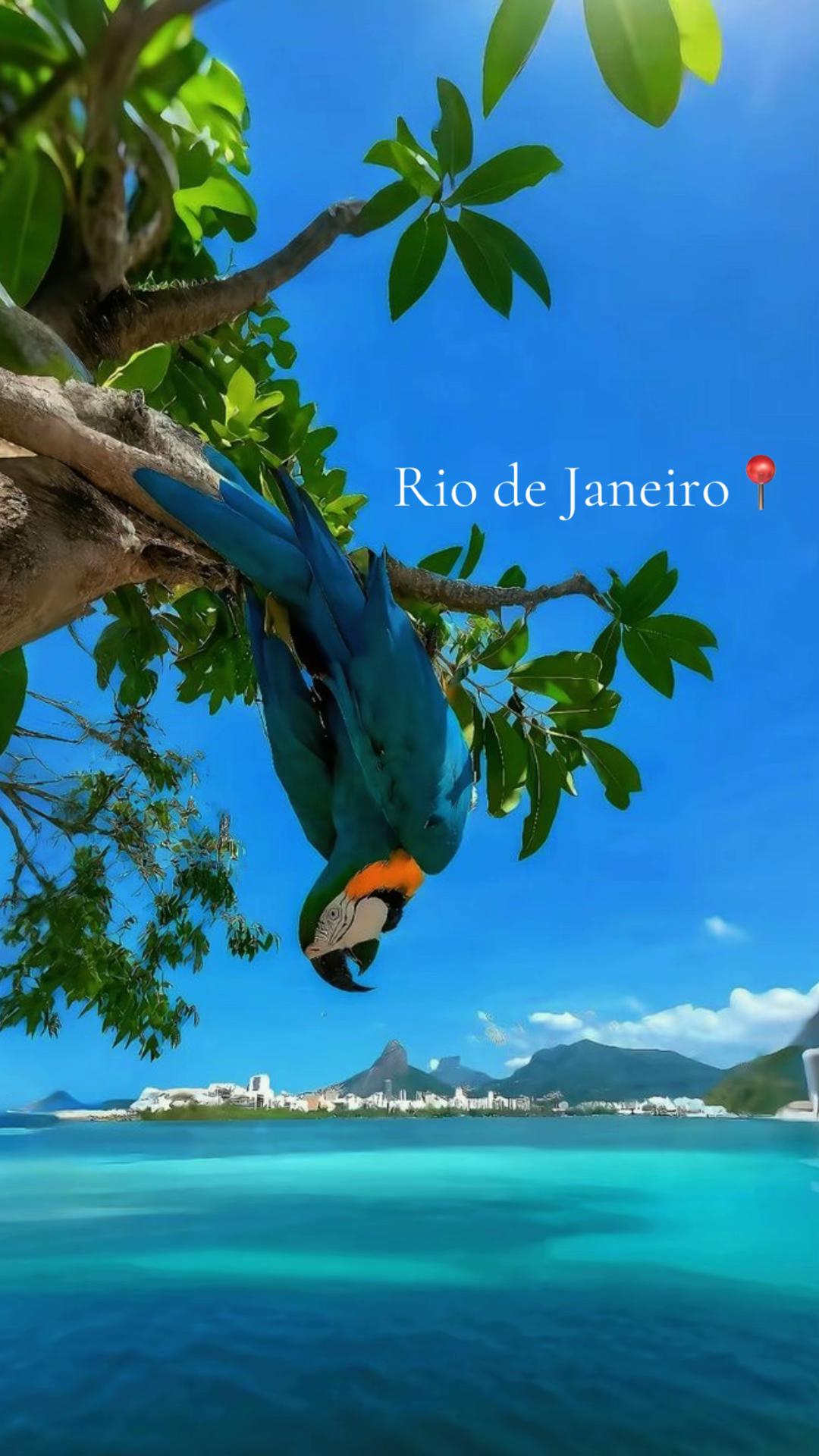 DreamTravelSpots, Christ the Redeemer