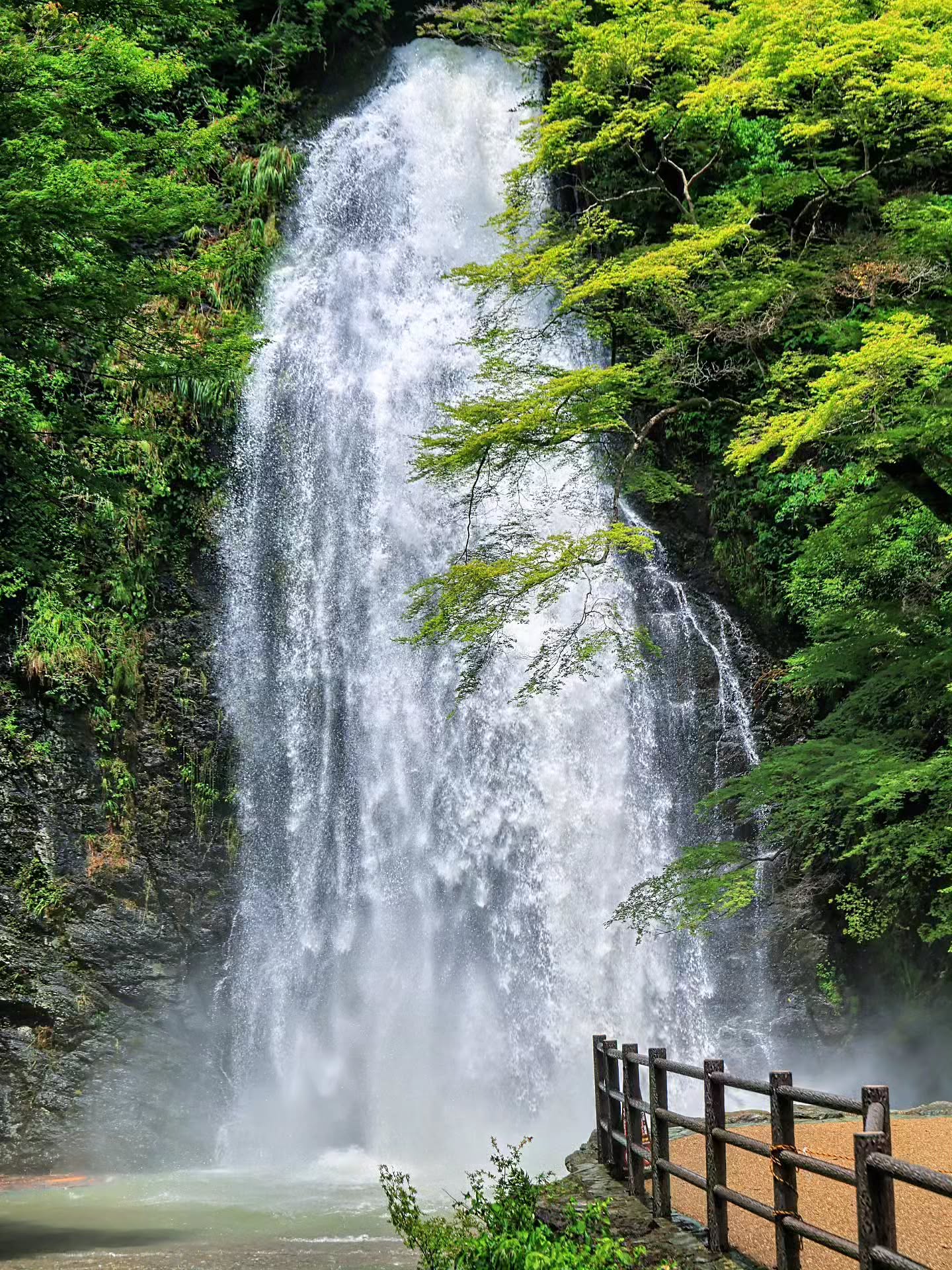 シュウタ♓🅰🚹🚭🐯🍜🍰🍡⚾🌸🍁🐶🐱🌅🌕🍵, Minoh Falls