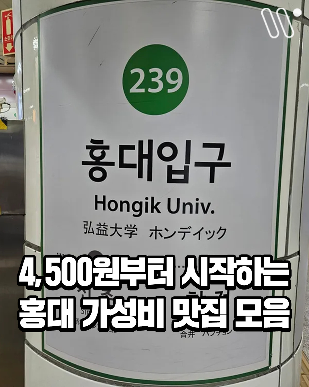 홍대맛집 홍대술집 홍대카페 이태원맛집 이태원카페, Bibiri