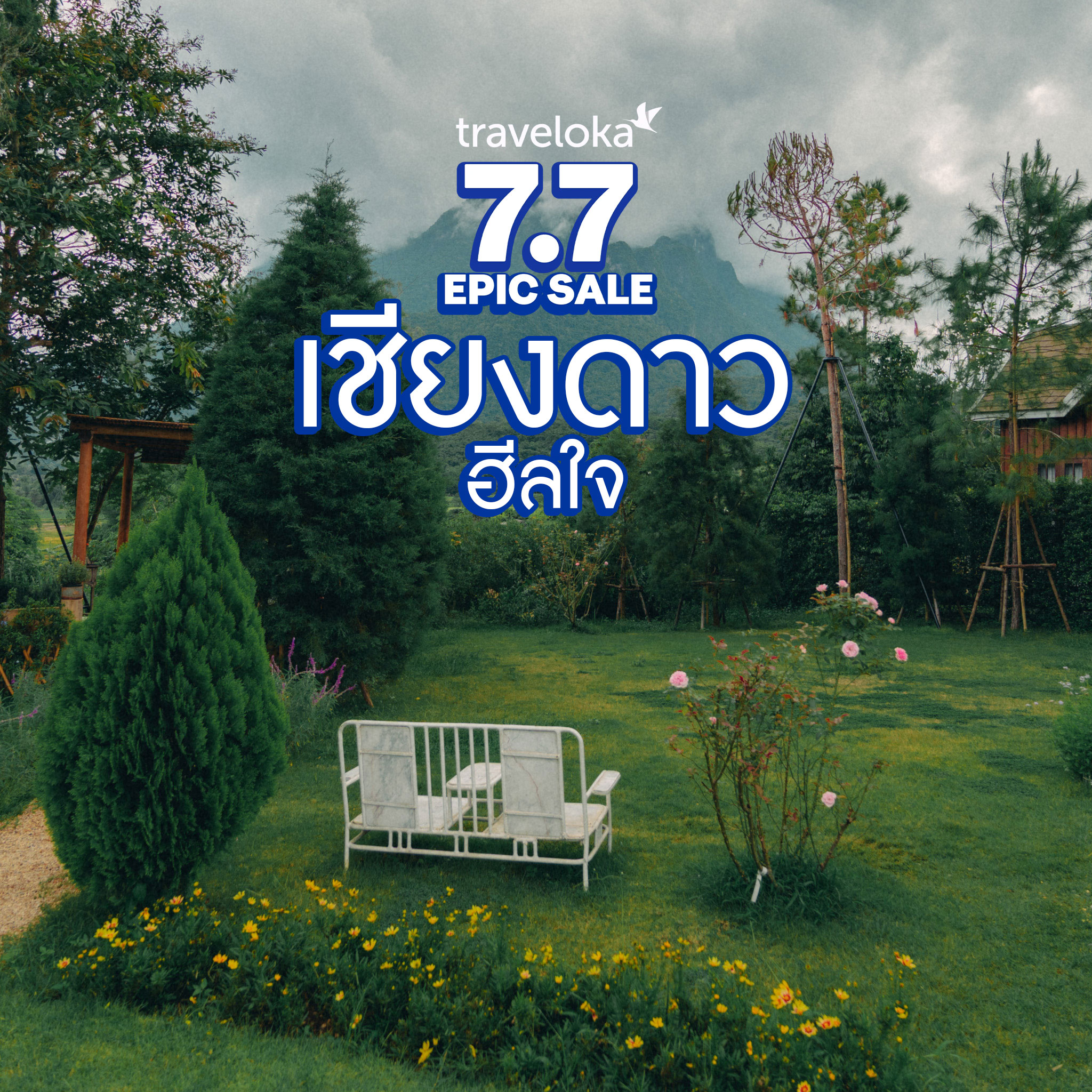 แ ด ด ล ม ฝ น, อุ้ยคำ โฮมสเตย์ เชียงดาว