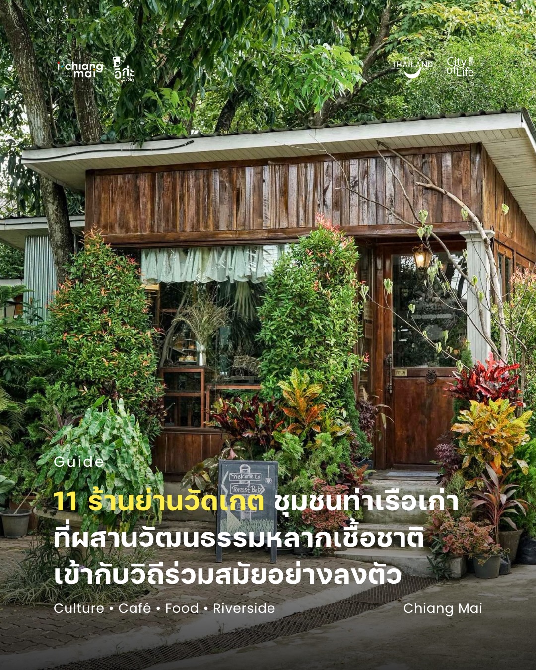 iChiangmai, Cake Baan Piemsuk