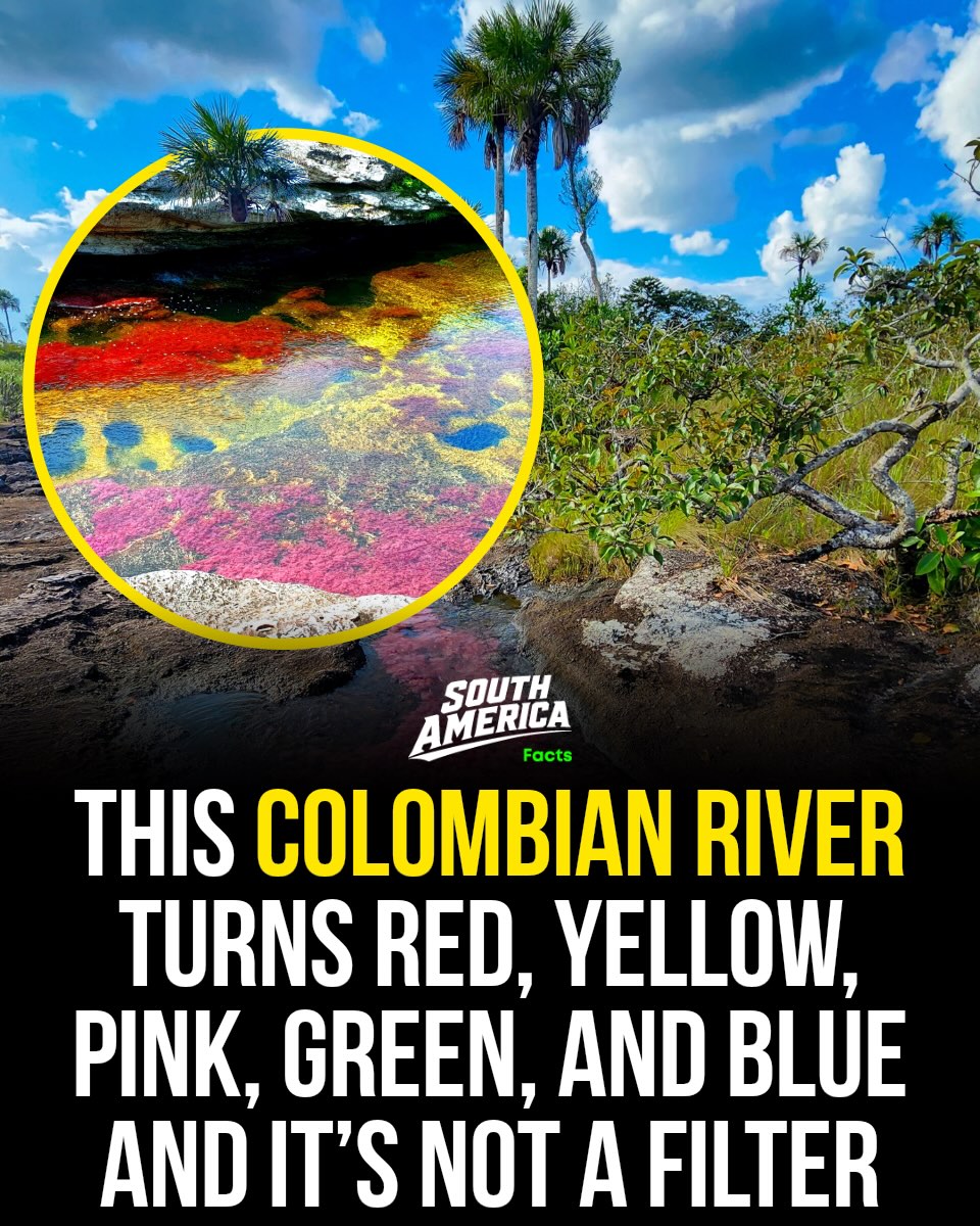 South America 🇺🇸 | Hotels | Food | Tips, Parque Nacional Natural Sierra de La Macarena