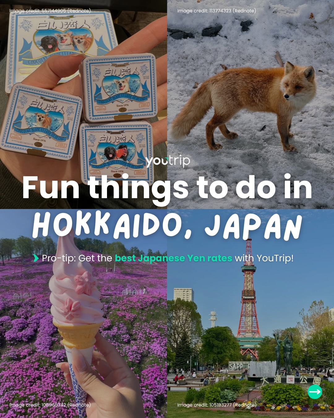 YouTrip Singapore, Otaru Aquarium