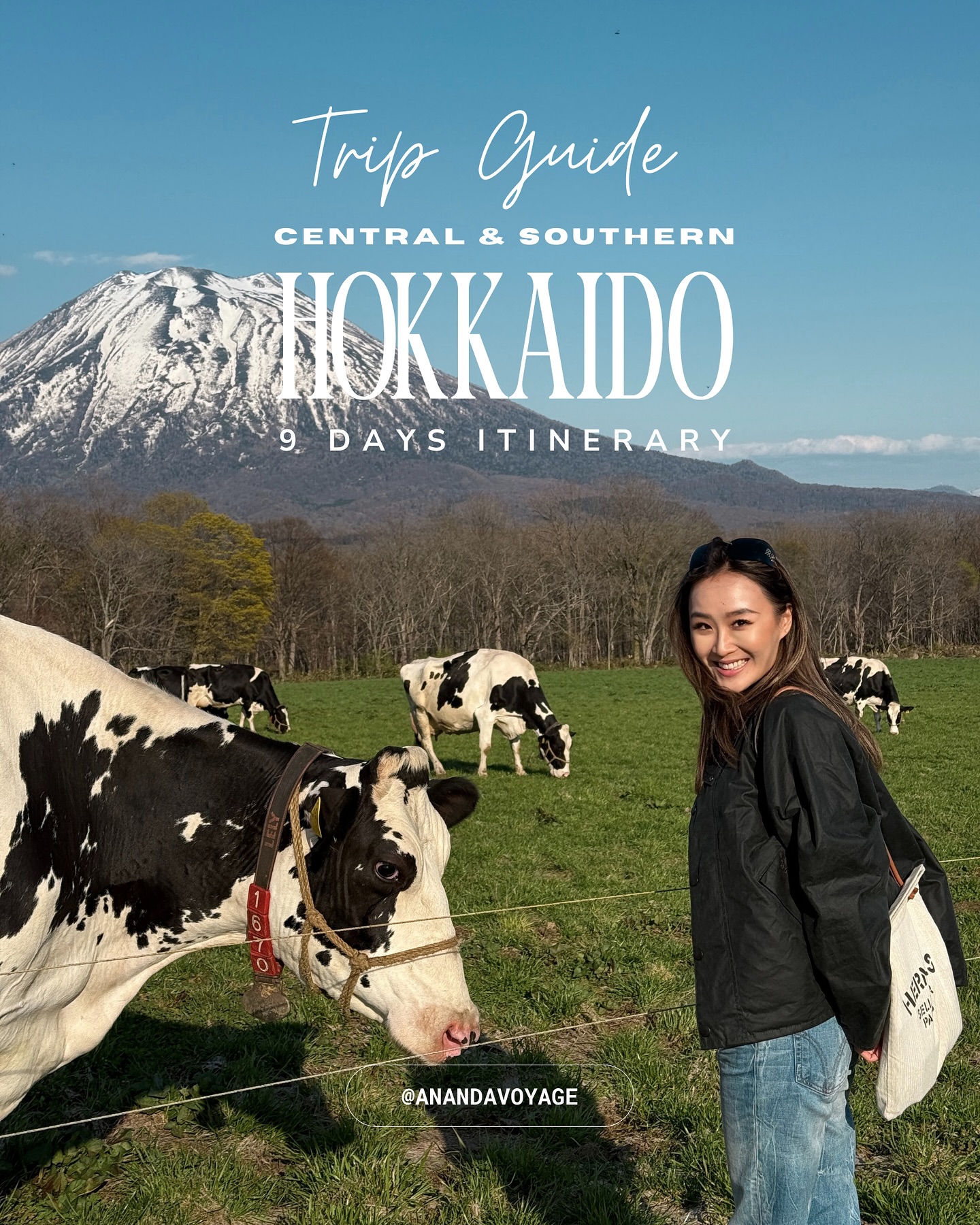 Ānanda Voyage | Bespoke Itinerary & Luxury Travel, Mount Hakodate