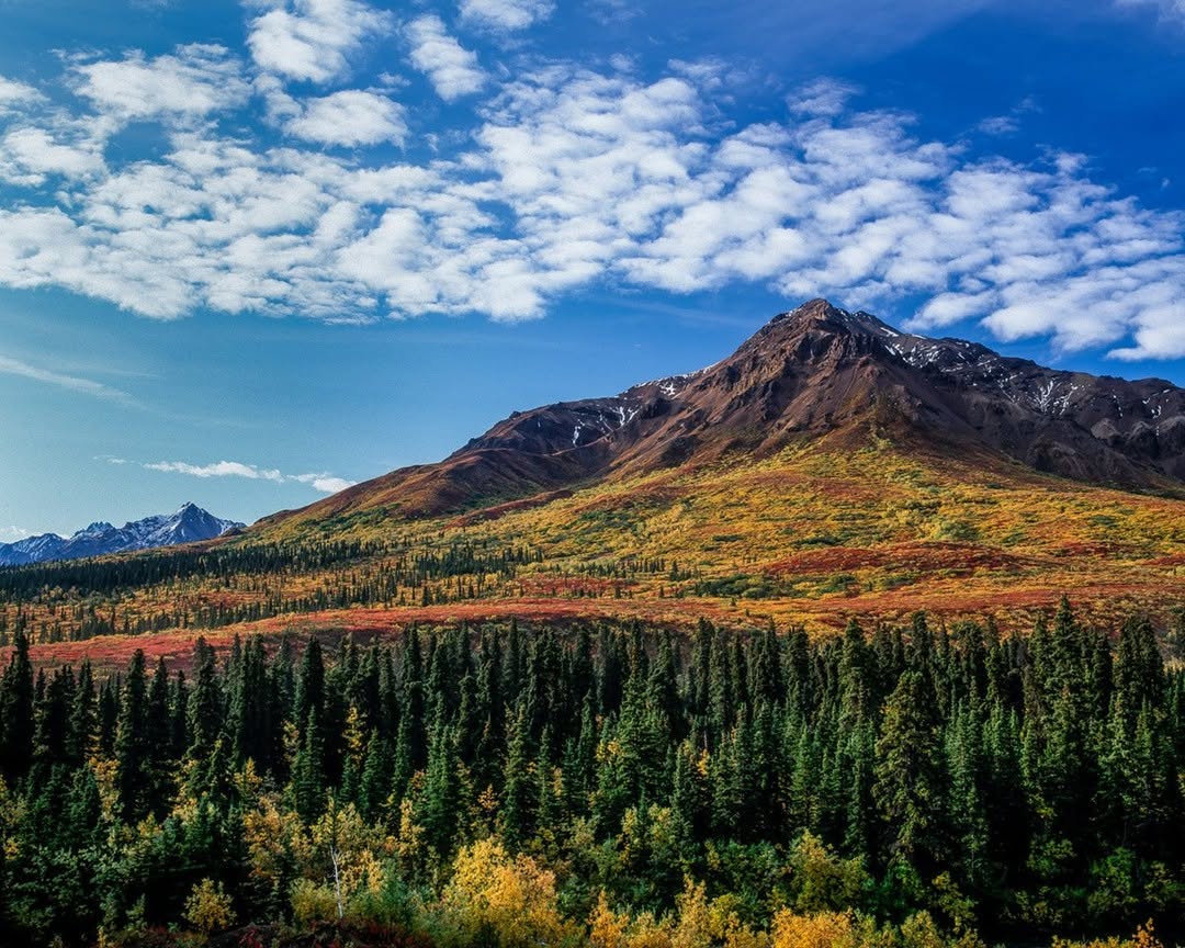 National Geographic Travel, Denali National Park and Preserve