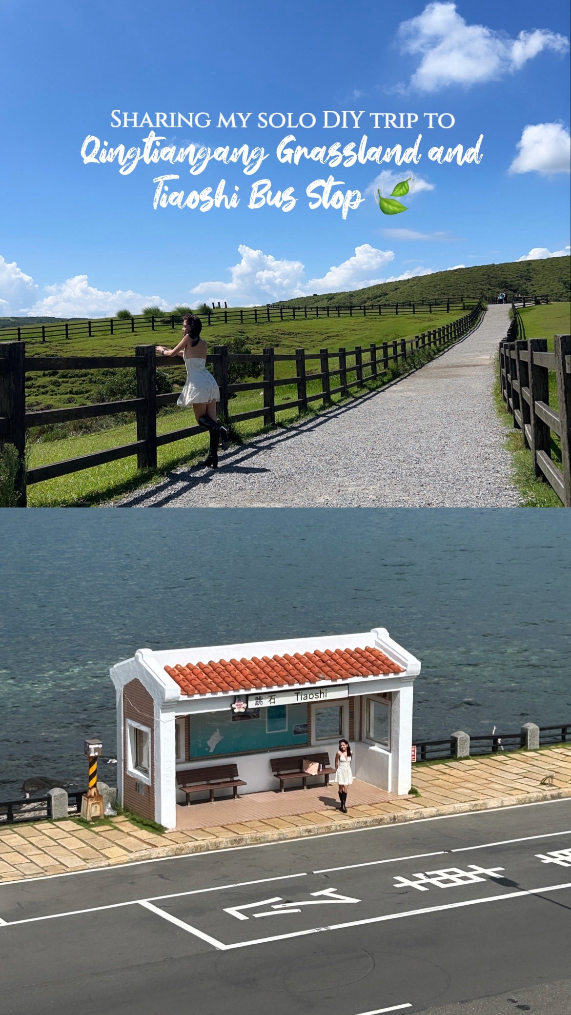 Van, Yangmingshan National Park