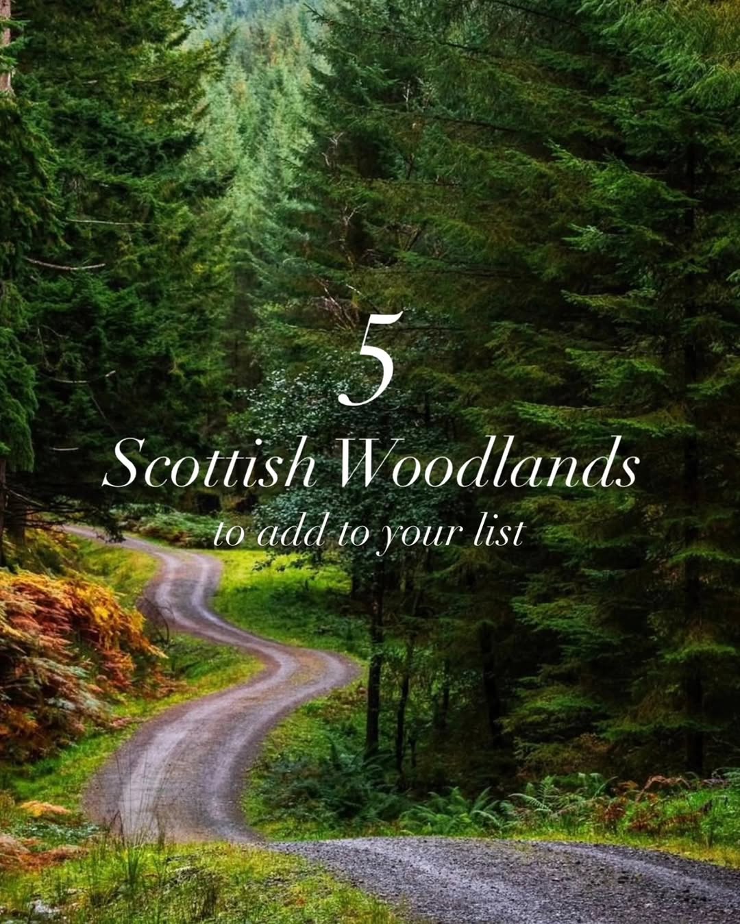 VisitScotland | Travel & Inspiration, Queen Elizabeth Forest Park