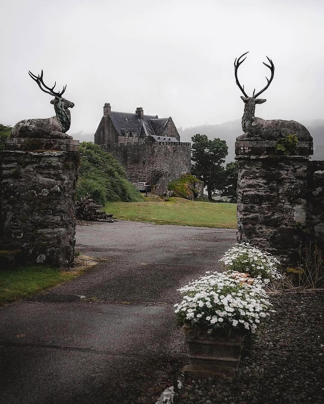 Scotland 🏴󠁧󠁢󠁳󠁣󠁴󠁿 | Travel | Hotels | Tips, Eilean Donan Castle