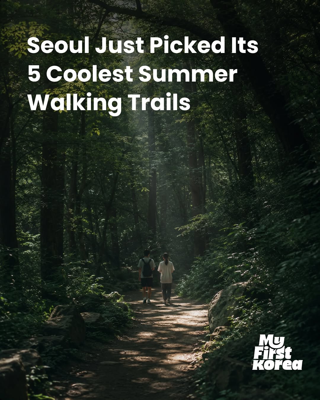 MyFirstKorea, Haneul Park