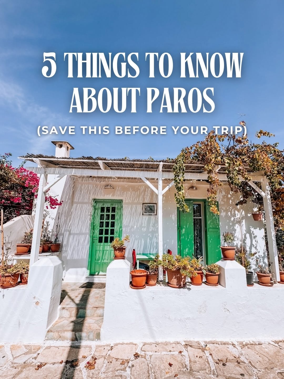 Carolin | Hotels & Travel Guides, Paros