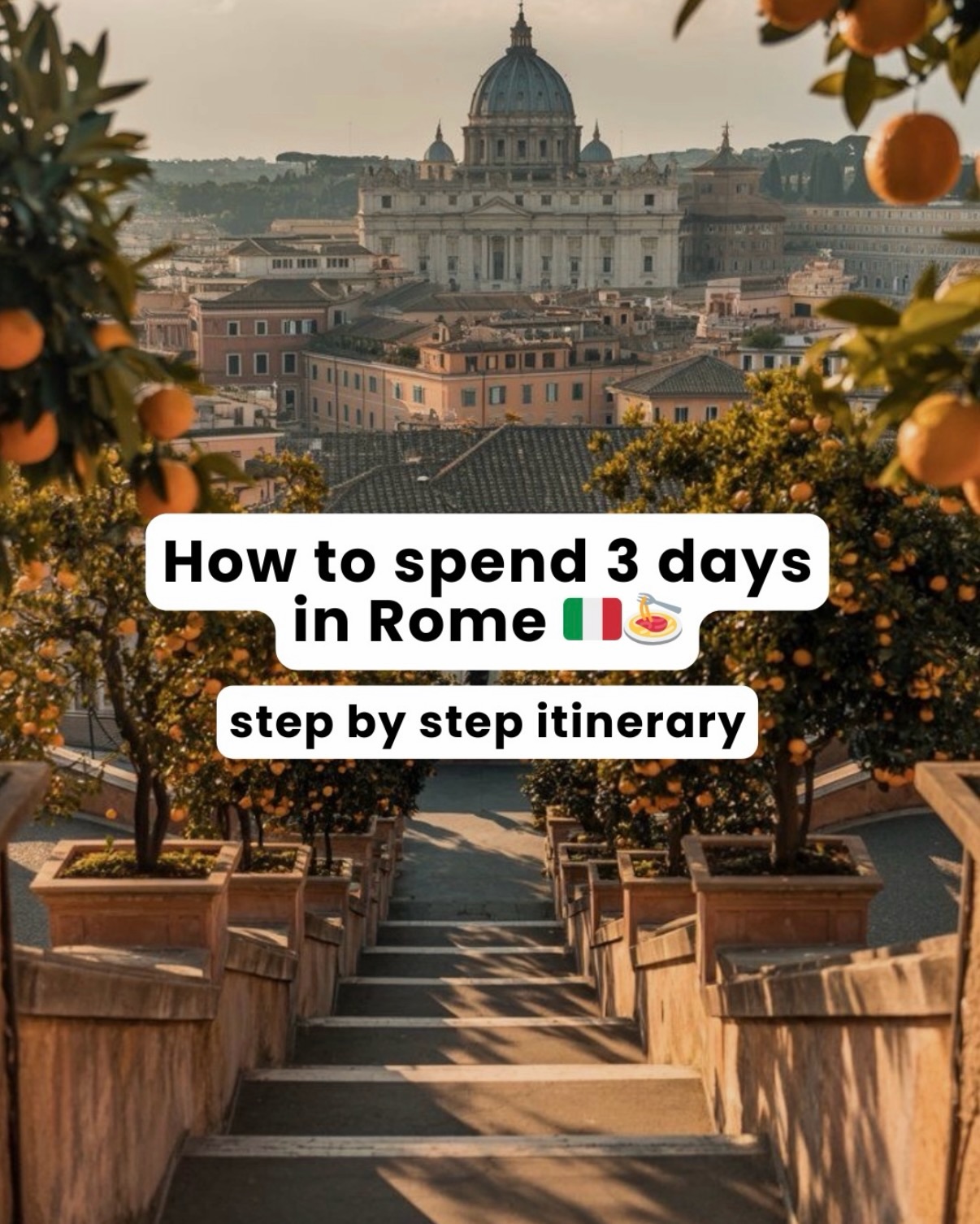Rome Travel & Nightlife, Colosseum