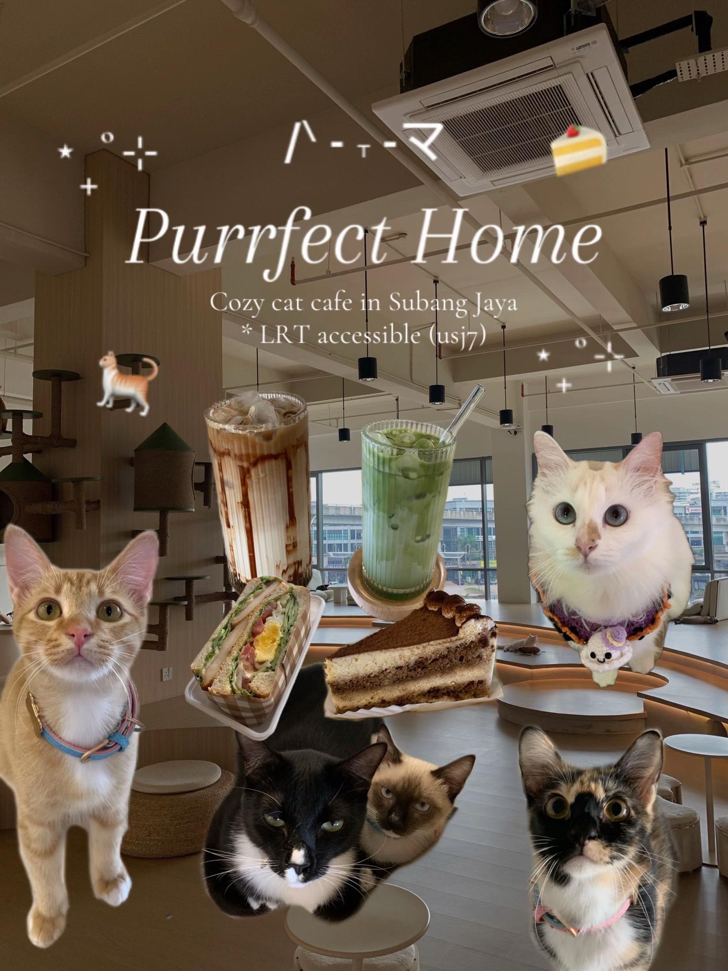 Purrfect Home, USJ7