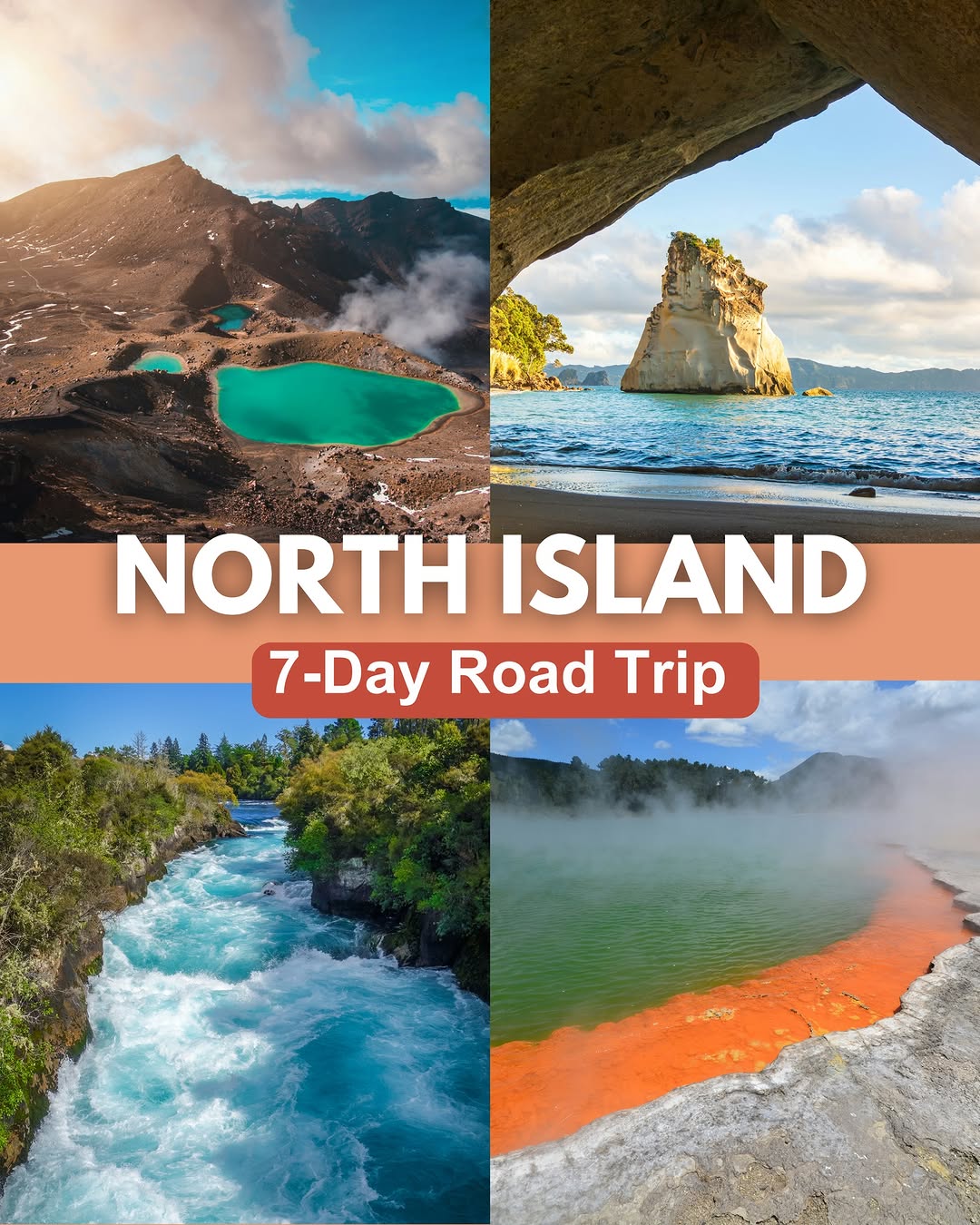 New Zealand Backpackers, Auckland