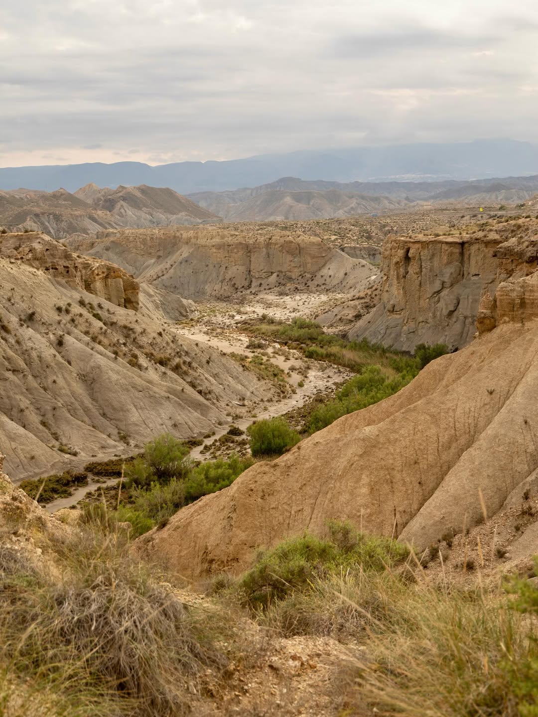 Judith van Wijk, Tabernas