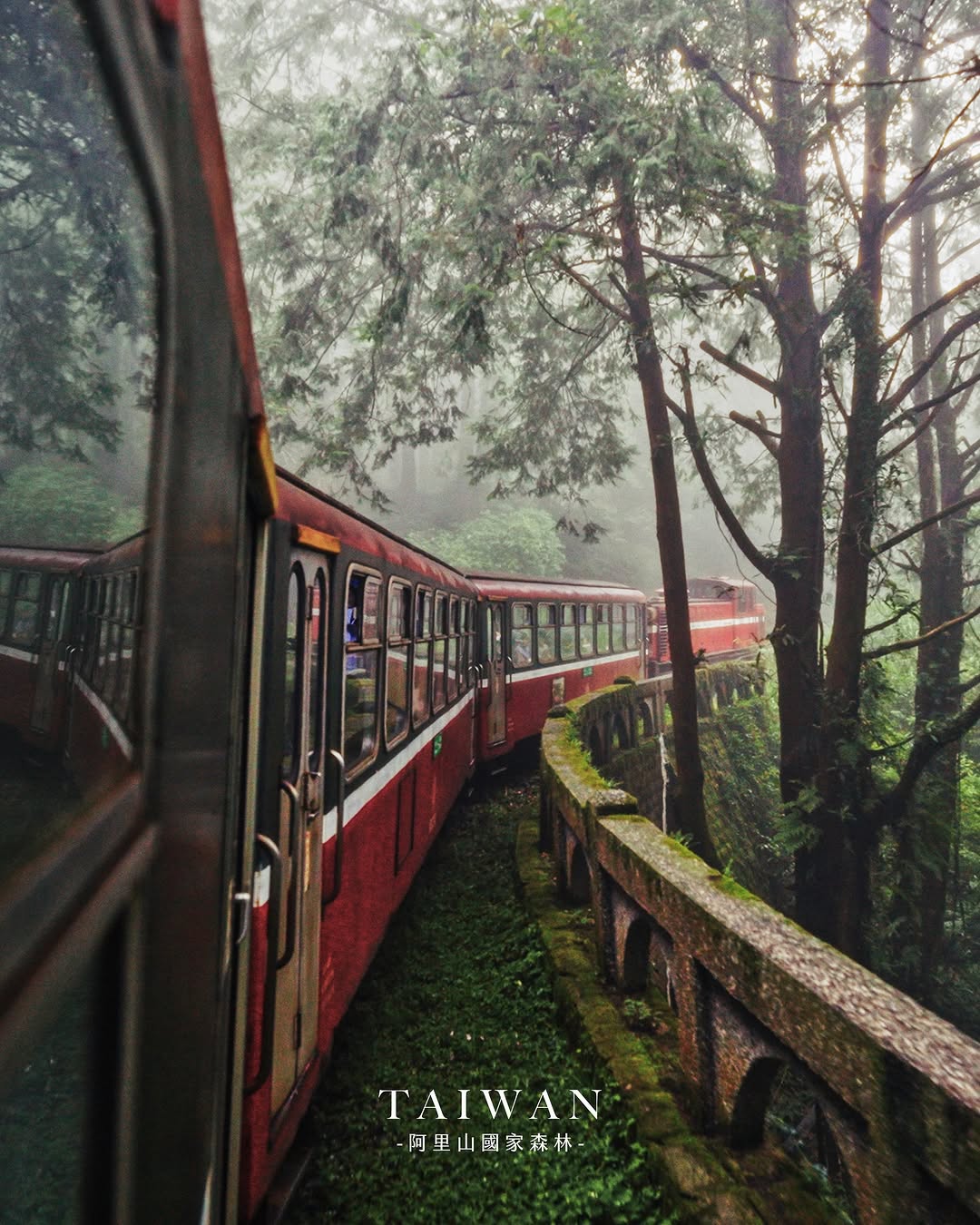 Samil Kuo | 接案攝影師｜旅遊體驗家, Alishan National Forest Recreation Area