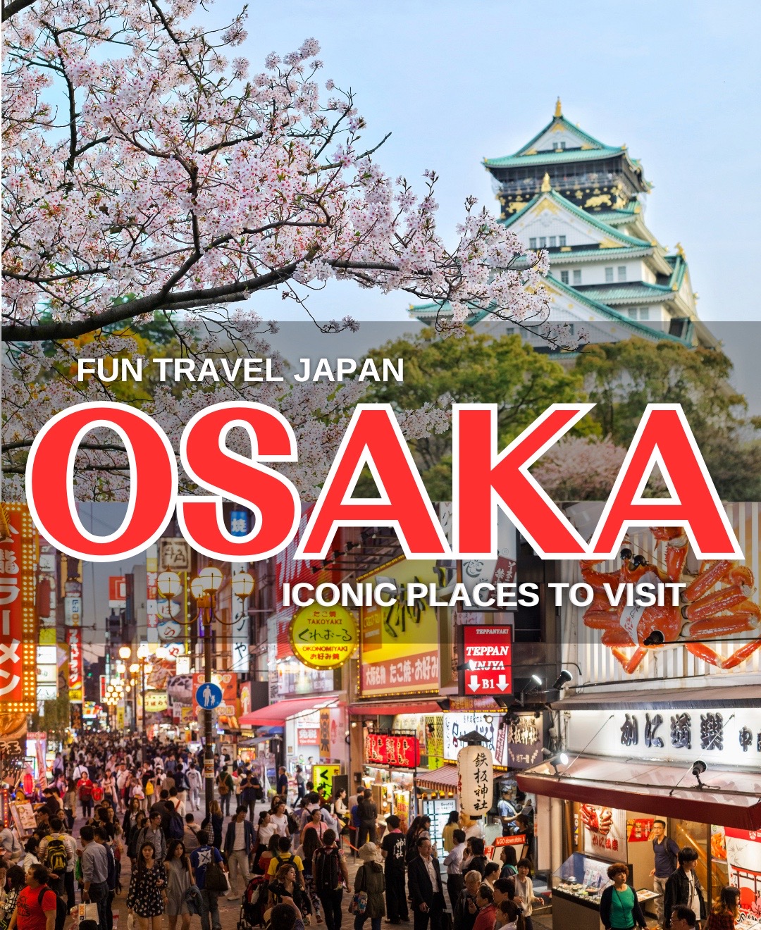 Fun travel Japan, Osaka Castle