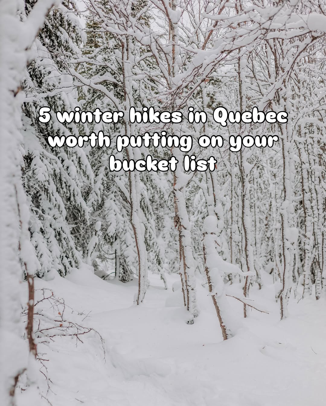 Audrey-Lyne Ferlatte | Outdoors & Adventure, Grands-Jardins National Park