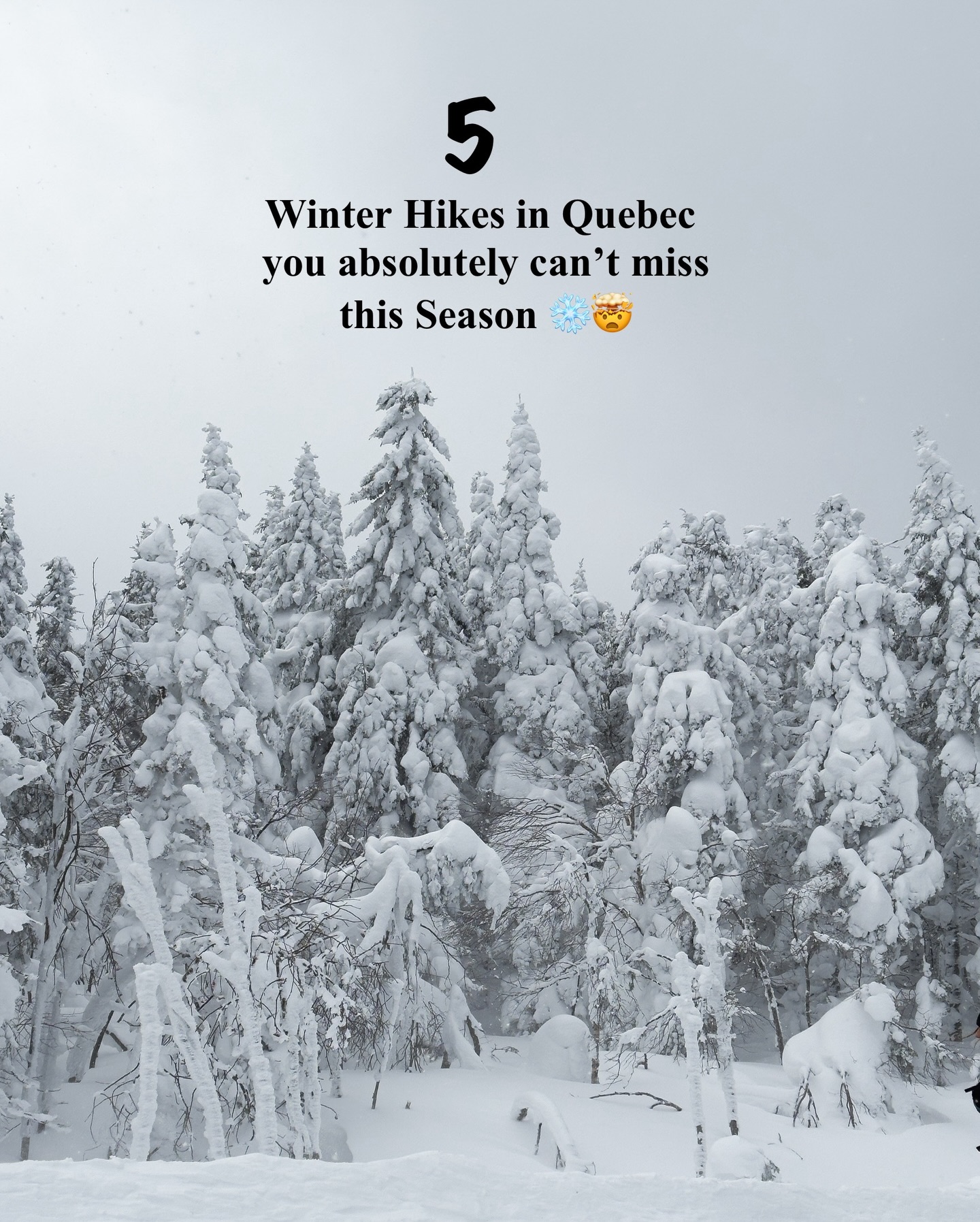 Audrey-Lyne Ferlatte | Outdoors & Adventure, Grands-Jardins National Park