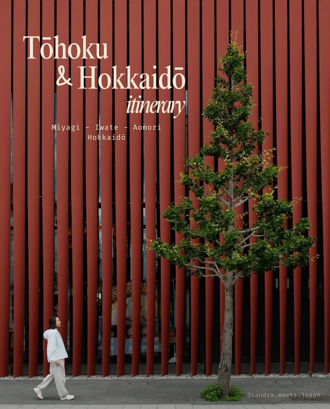 Sandra・サンドラ, Kanemori Red Brick Warehouse