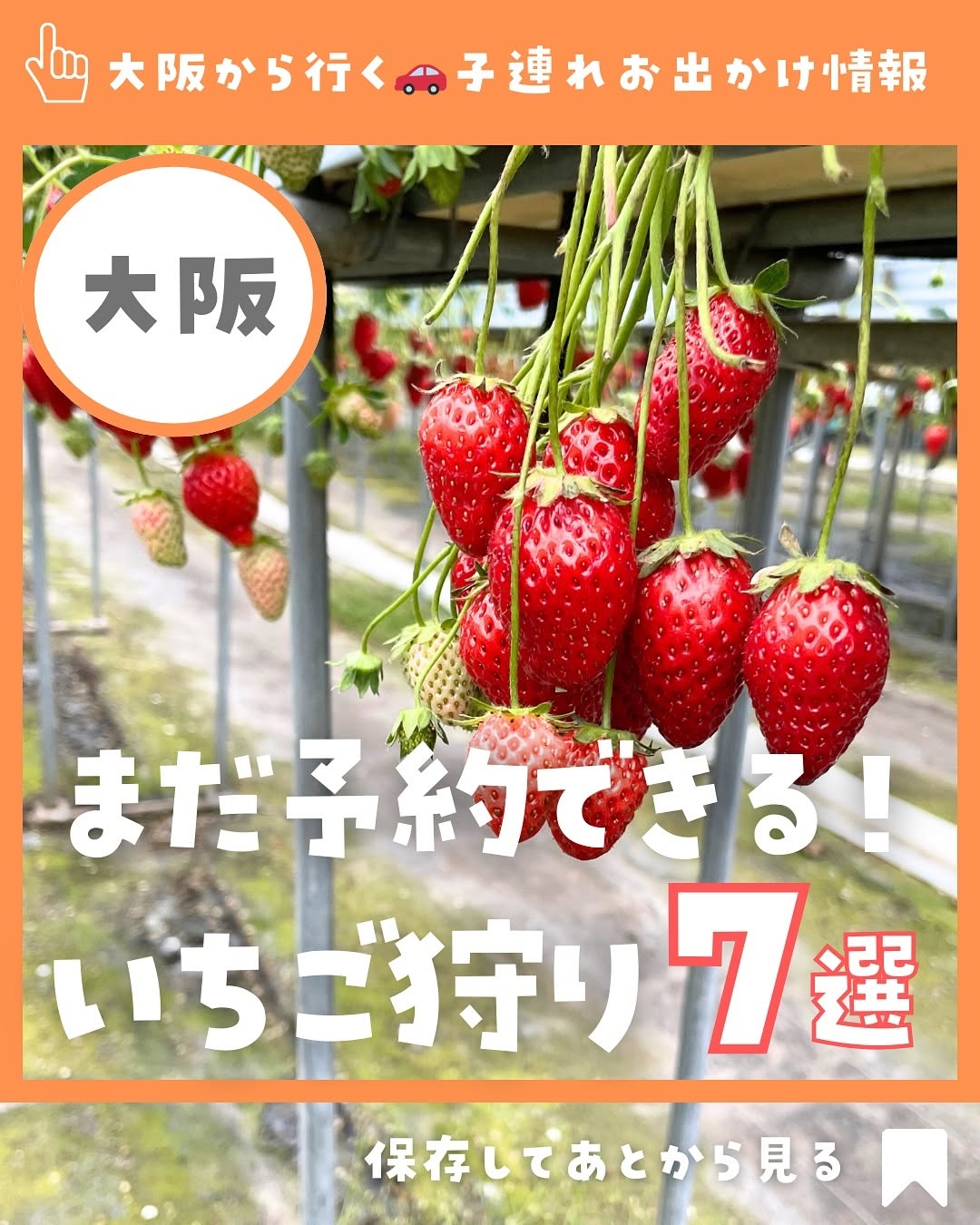 ぴっこ〖大阪発〗🚗子連れお出かけ, Grand Berry