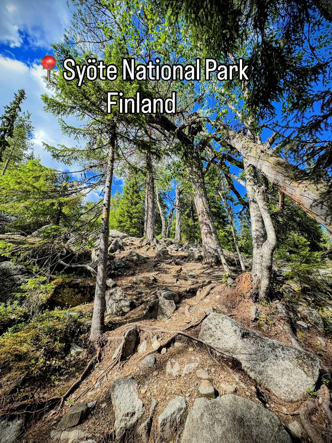 Budget Travel & Culture | Päivi, Syöte National Park