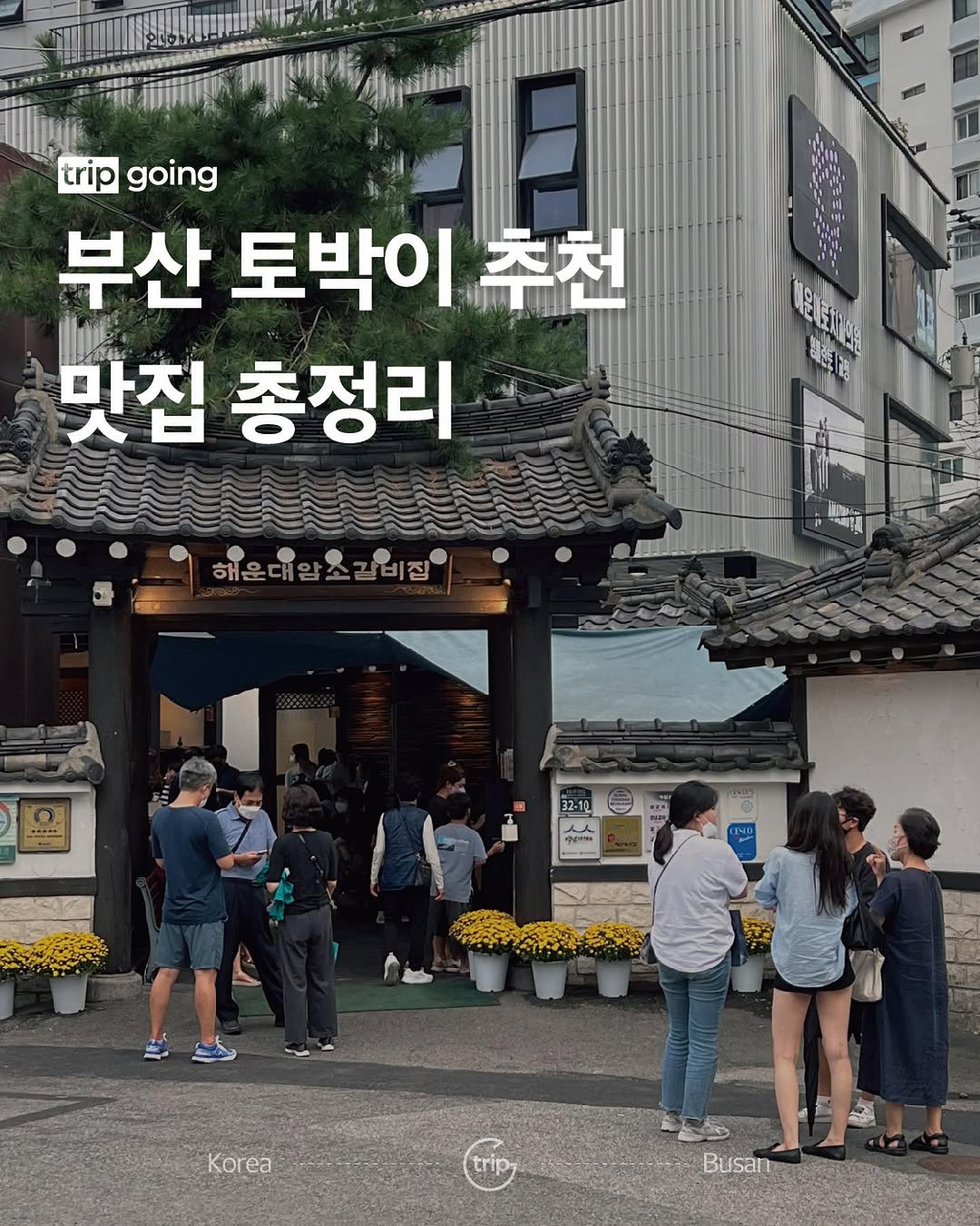 트립고잉 tripgoing, Geumsubokguk, Haeundae Head Store