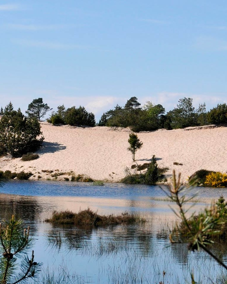 Naturstyrelsen, Bornholm