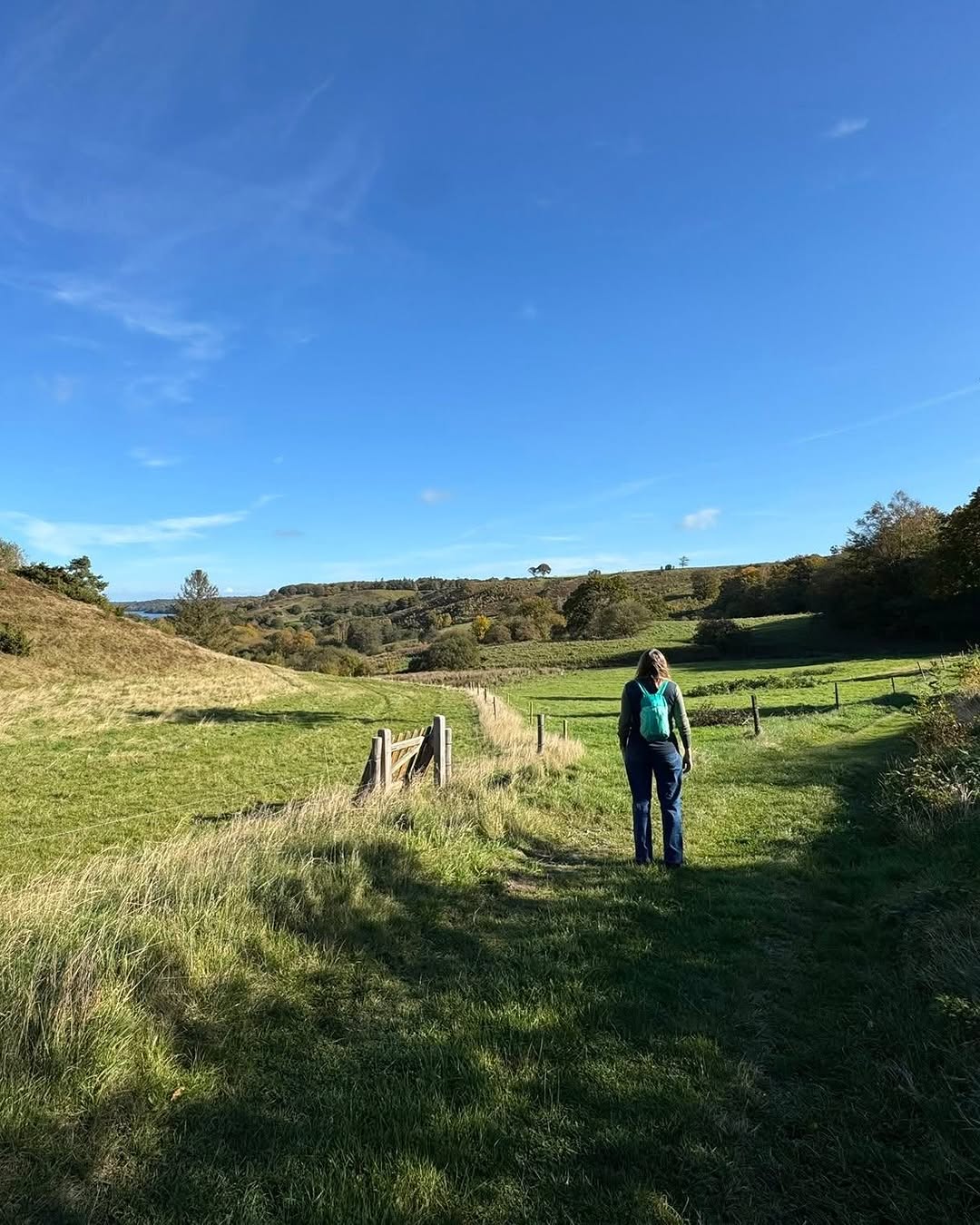 Naturstyrelsen, Hald Sø
