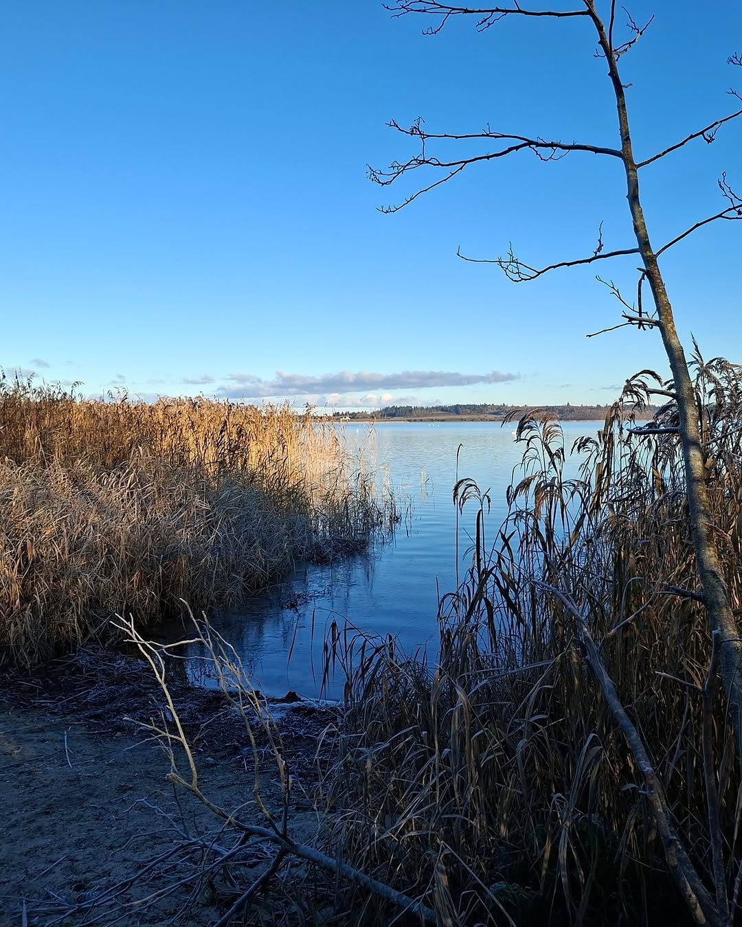 Naturstyrelsen, Vandet Lake