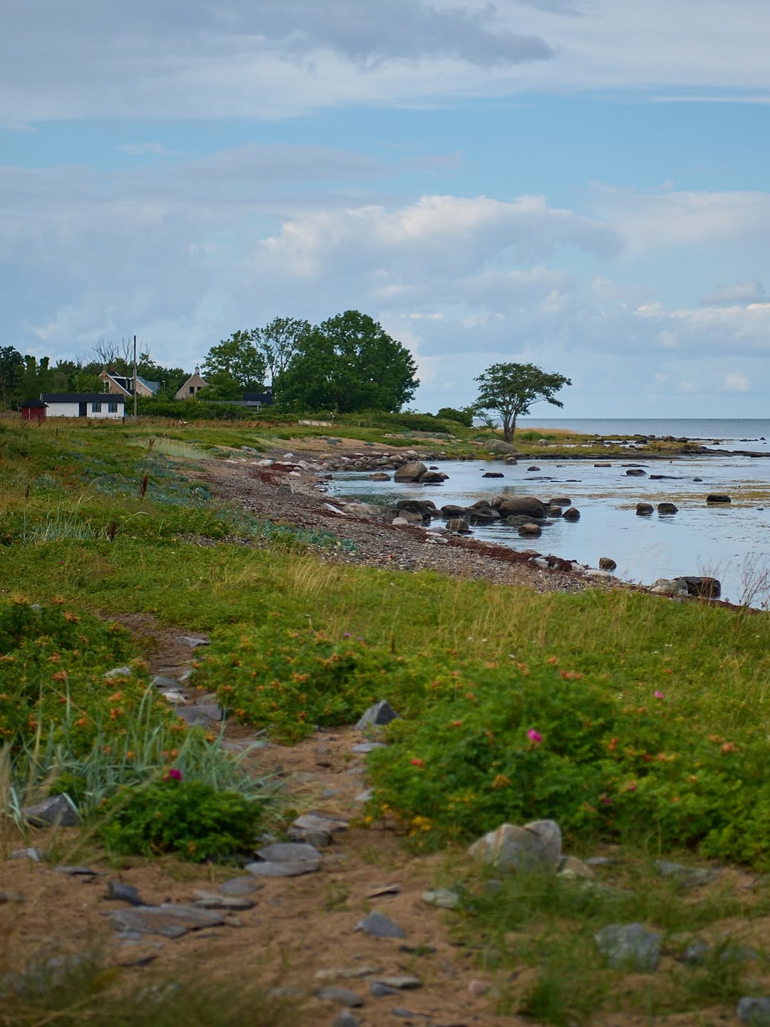 Österlen.se, Simris strandängar
