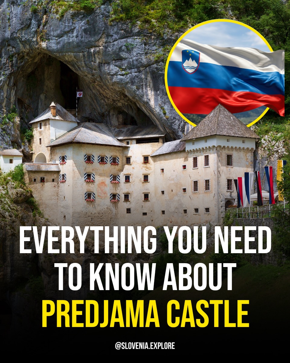 Slovenia 🇸🇮 Travel | Hotels | Food | Tips, Postojna Cave