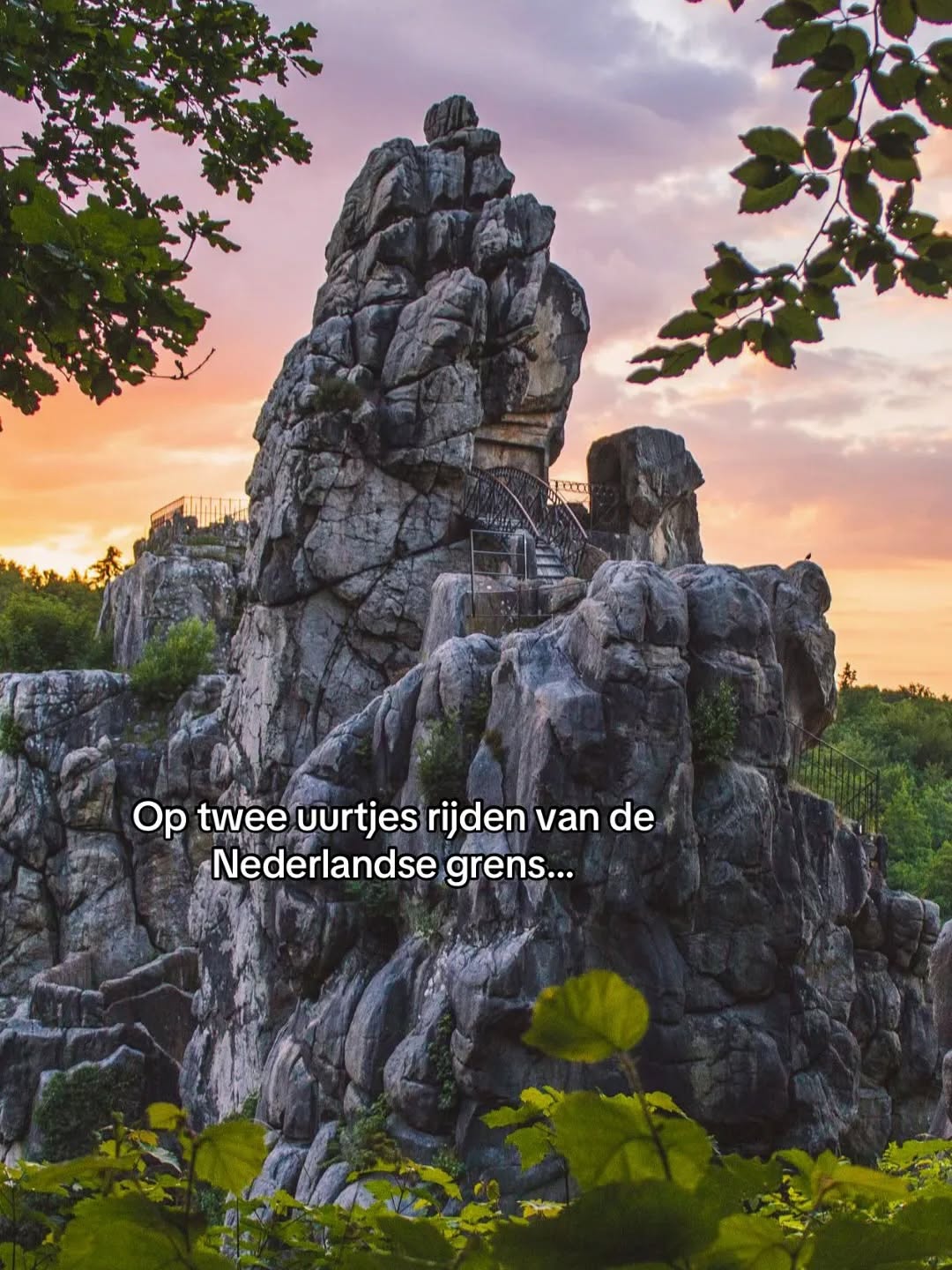 Jari Gaarenstroom | Hiken | Wildlife, Teutoburg Forest