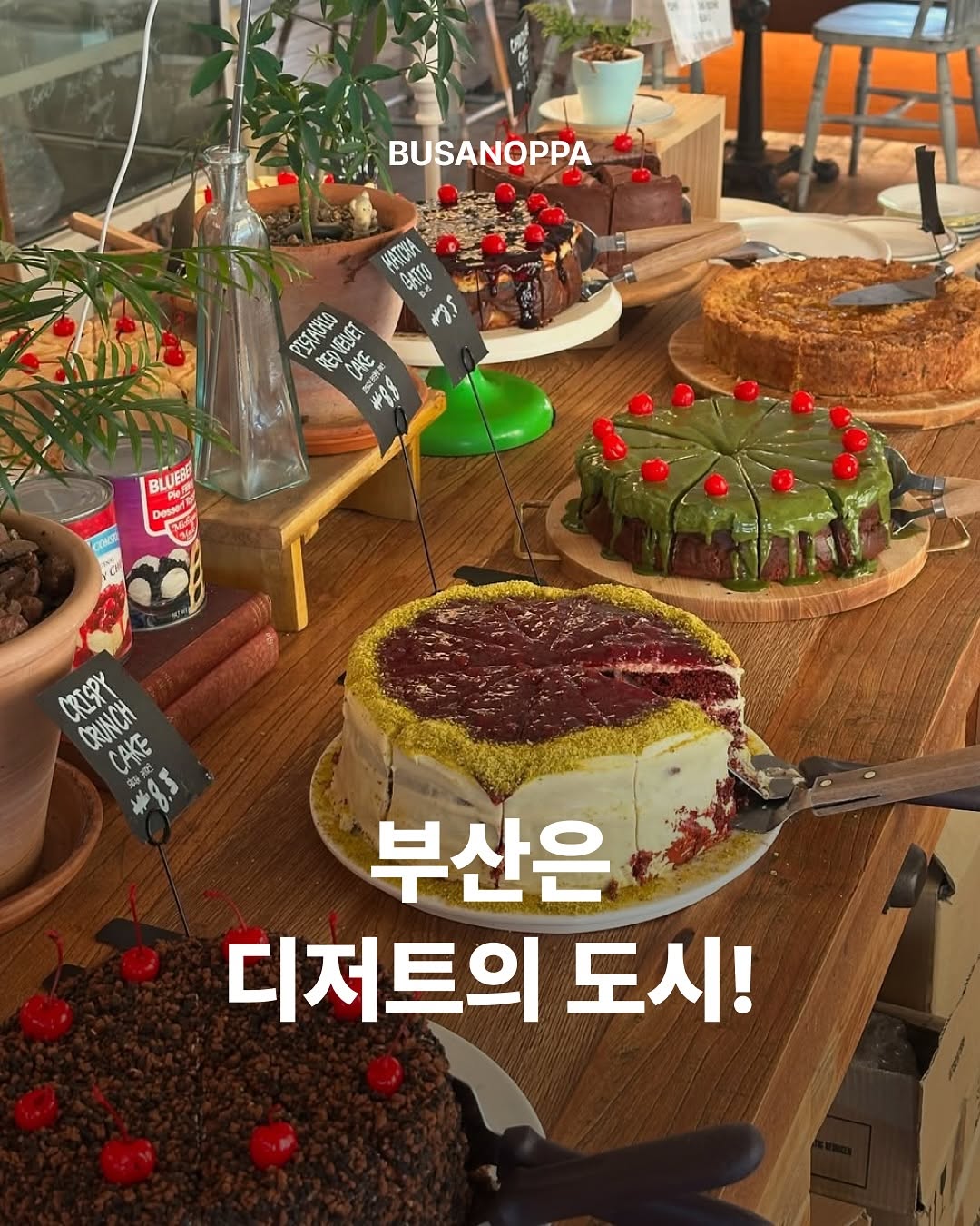 부산오빠, 언벤트 커피