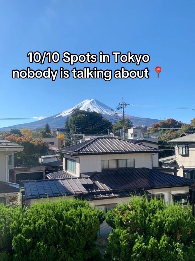 Japan Views, Gōtokuji Temple