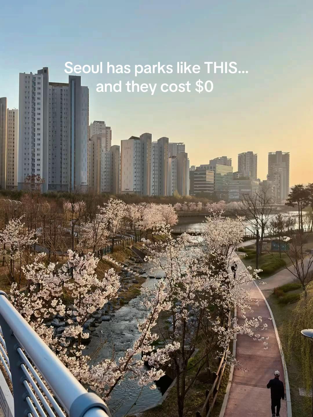 taylor | seoul creator ✨🇰🇷, Namsan Mountain Park