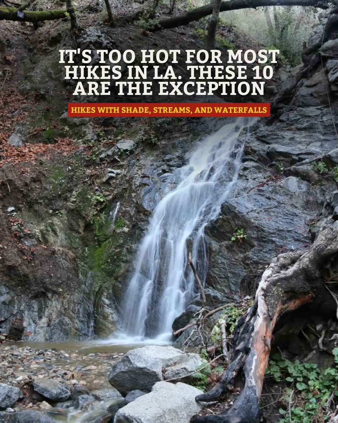 The Next Fun Thing, Placerita Canyon Nature Center