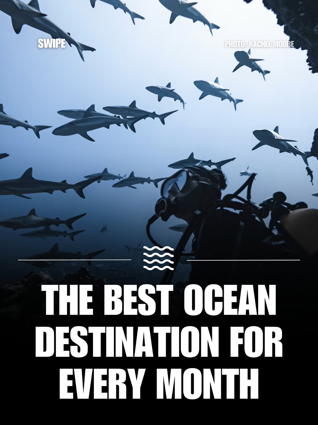 Oceans Nation, Azores