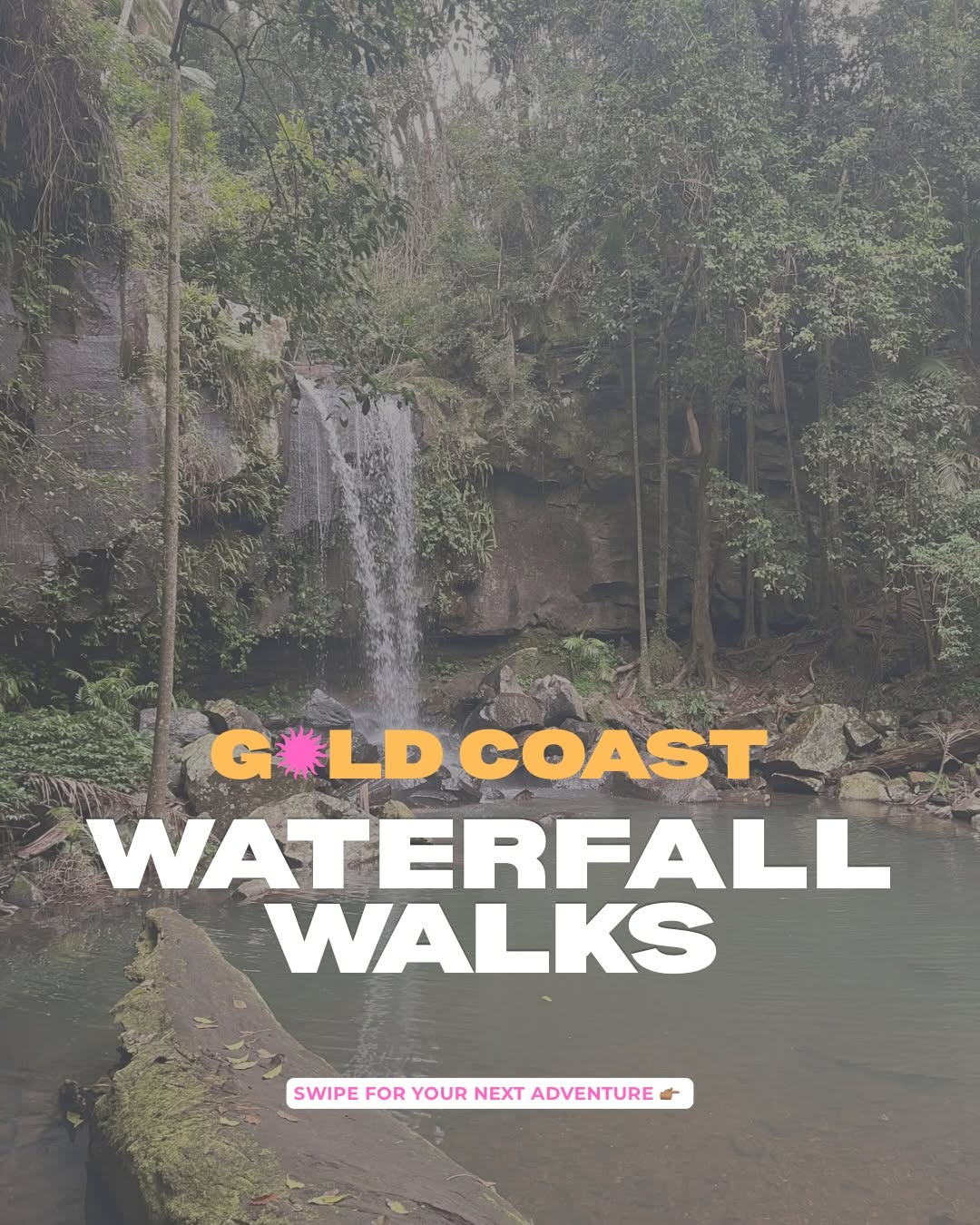 GC Wandering | Gold Coast & Brisbane Guide, Curtis Falls Walking Track